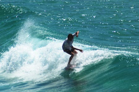 surfing Sydney