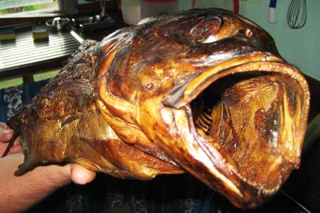 Fisch Fisch